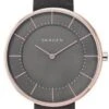 Skagen Gitte SKW2613 -Michael Kors || Guess || Festina Soldes skagen gitte skw2613 4053858832107 342757